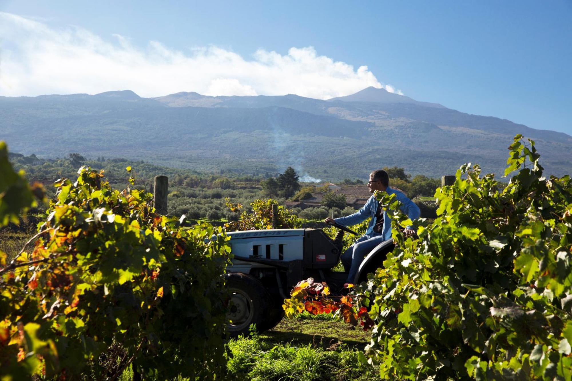 Feudo Vagliasindi -Wine Experience- Guest House Randazzo Bagian luar foto