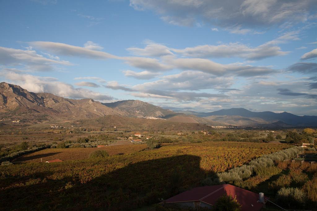 Feudo Vagliasindi -Wine Experience- Guest House Randazzo Bagian luar foto