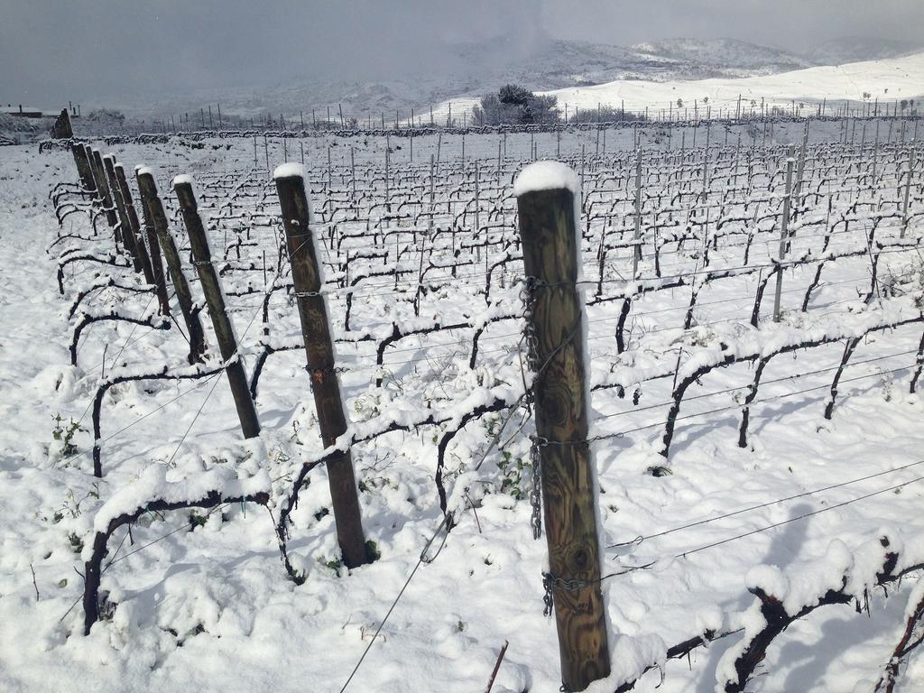 Feudo Vagliasindi -Wine Experience- Guest House Randazzo Bagian luar foto