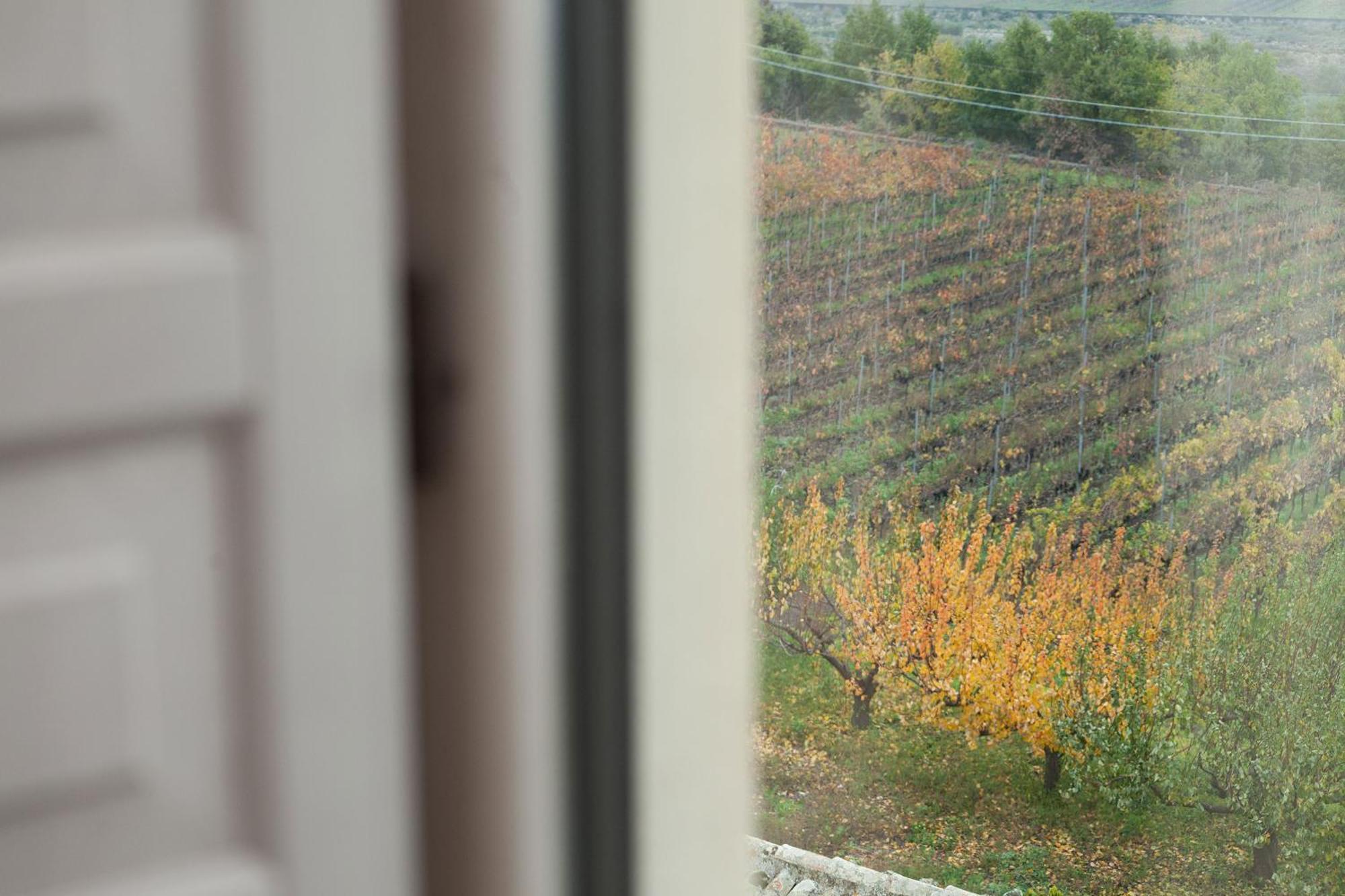 Feudo Vagliasindi -Wine Experience- Guest House Randazzo Bagian luar foto